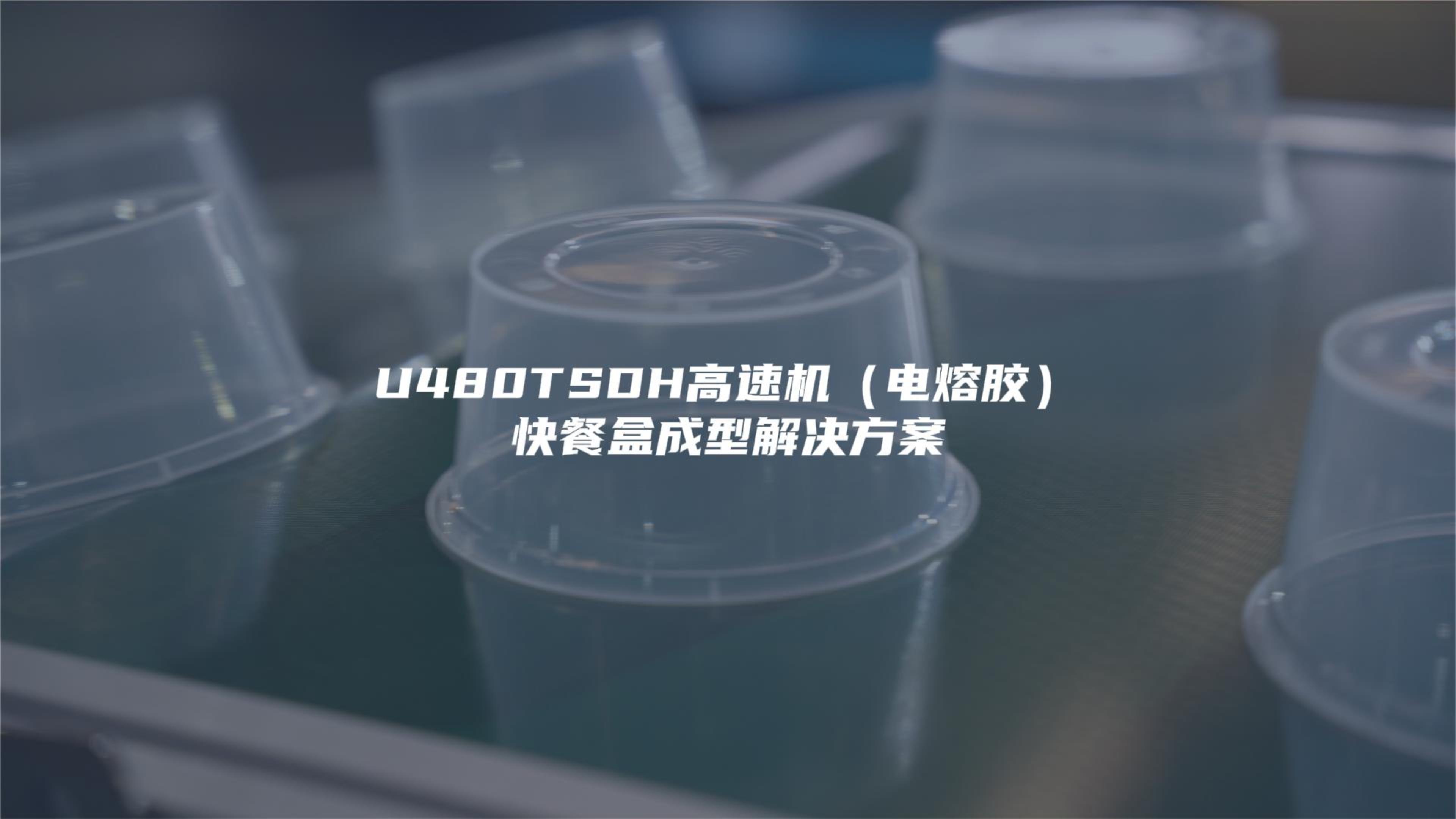 U480TSDH (electric melt adhesive) sample fast food box